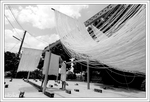 DSC 7326