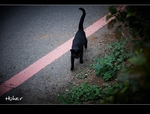 �ʭ��ۤ��G 2011.02�|�說��_�]�߿O�|