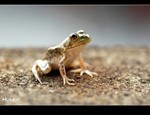 DSC_4935.jpg