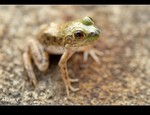 DSC_4942.jpg