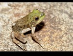 DSC_4947.jpg