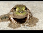 DSC_4952.jpg
