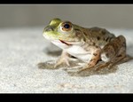 DSC_4955.jpg