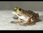 DSC_4957.jpg
