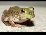 DSC_4966.jpg