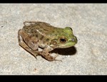 DSC_4971.jpg