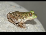 DSC_4980.jpg