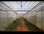 DSC_2804.jpg