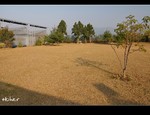 DSC_2816.jpg