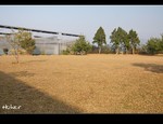 DSC_2818.jpg