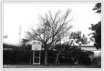 DSC 1462