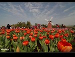 DSC_4375.jpg