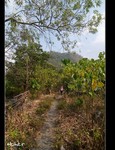 DSC_3526.jpg