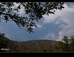 DSC_3527.jpg