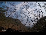 DSC_3529.jpg
