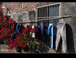 DSC_4200.jpg