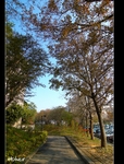 DSC_0011.jpg