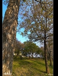 DSC_0017.jpg