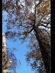 DSC_0023.jpg