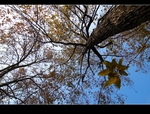 DSC_0025.jpg
