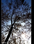 DSC_0033.jpg