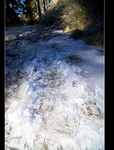 DSC_4357.jpg