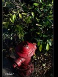 DSC 4180