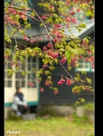 DSC_7050.jpg
