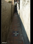 DSC_6331.jpg