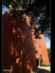 DSC 3099