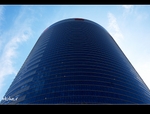 DSC 3109