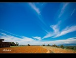 DSC 2705