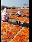 �ʭ��ۤ��G ���L�f��_�Q���l