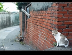 DSC 7162