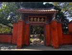DSC 7577