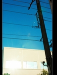 DSC 4318