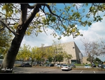 DSC 5875