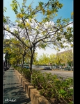 DSC 5879