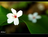 �ʭ��ۤ��G �Y�Ϊo���
