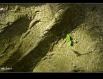 DSC_9635.jpg