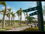 DSC 6095