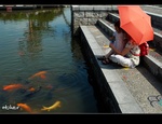 DSC 6113