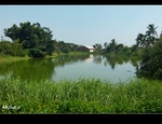 �ʭ��ۤ��G �O�w����