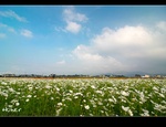 DSC_3802.jpg
