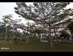 DSC_9305.jpg