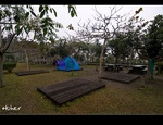 DSC_9307.jpg