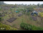 DSC_9317.jpg