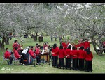 DSC_0358.jpg