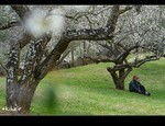 DSC_0366.jpg