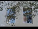DSC 4531